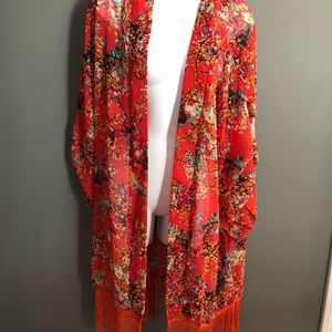 Women’s sheer Shaw beautiful design